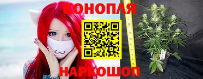 гашик Пенза
