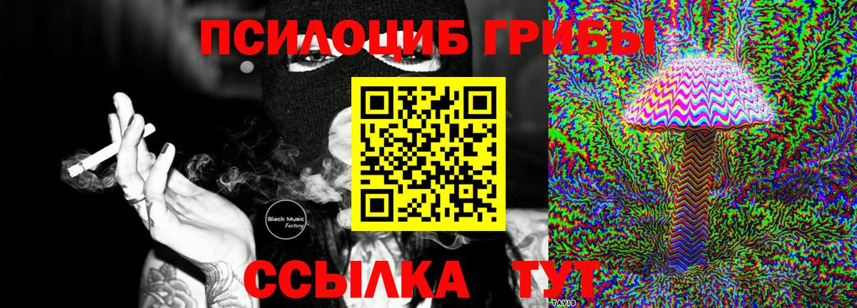Сарапул  Галлюциногенные грибы ЛСД  Вход с VPN 