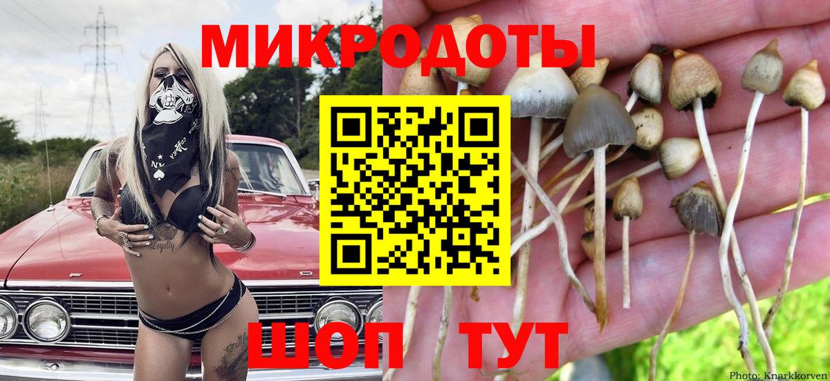 Псилоцибиновые грибы мухоморы Сарапул