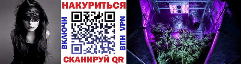 хочу   Сарапул  Конопля сатива 